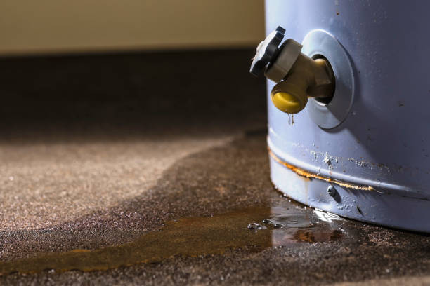 Water damage restoration experts