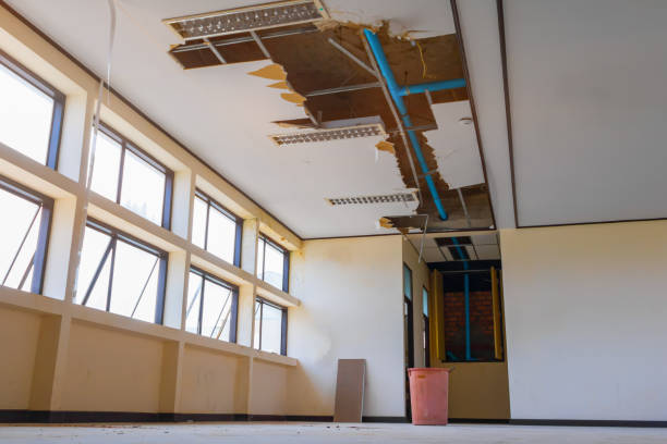 Best Local water damage restoration  in Cayce, SC