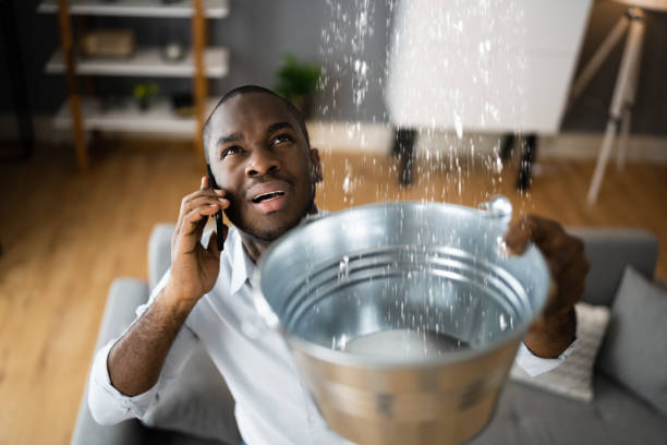 Best Residential water damage restoration  in Cayce, SC