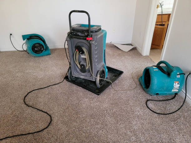 Fire Damage Restoration in SC