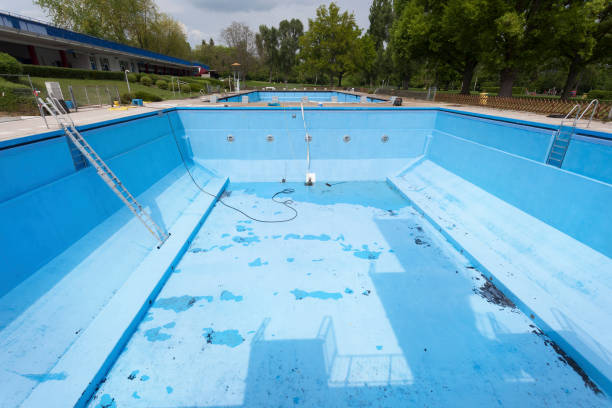 Best Basement water damage restoration  in Cayce, SC