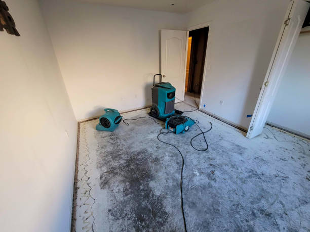Best Carpet water damage restoration  in Cayce, SC