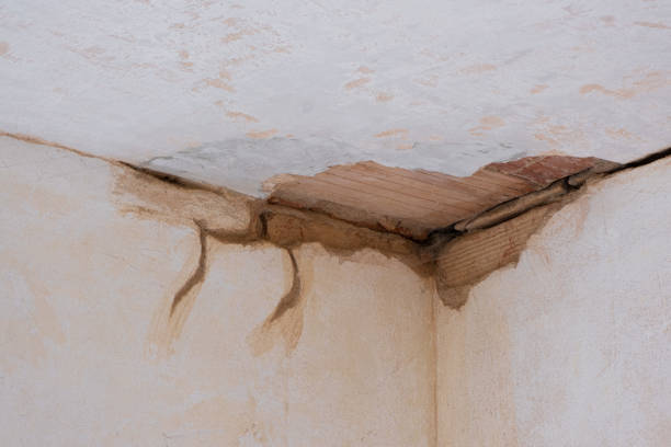 Best Flooded house restoration  in Cayce, SC