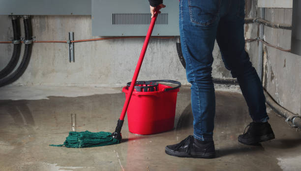 Best Sewage cleanup and water damage restoration  in Cayce, SC