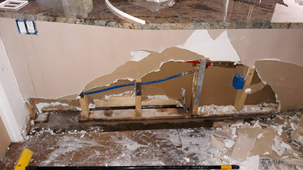 Best Flooded house restoration  in Cayce, SC