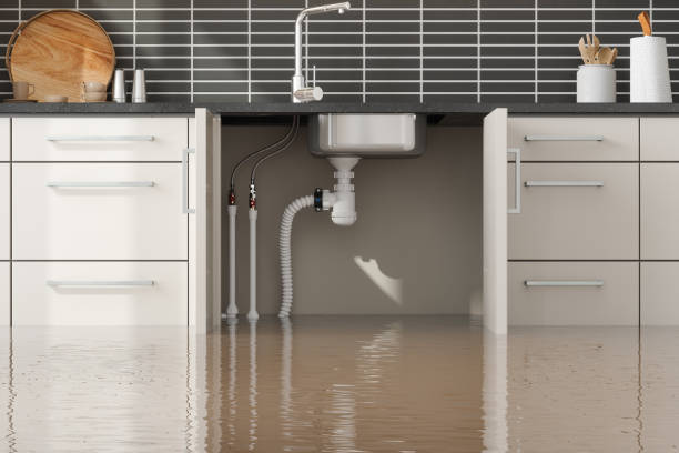 Best Flood restoration services  in Cayce, SC