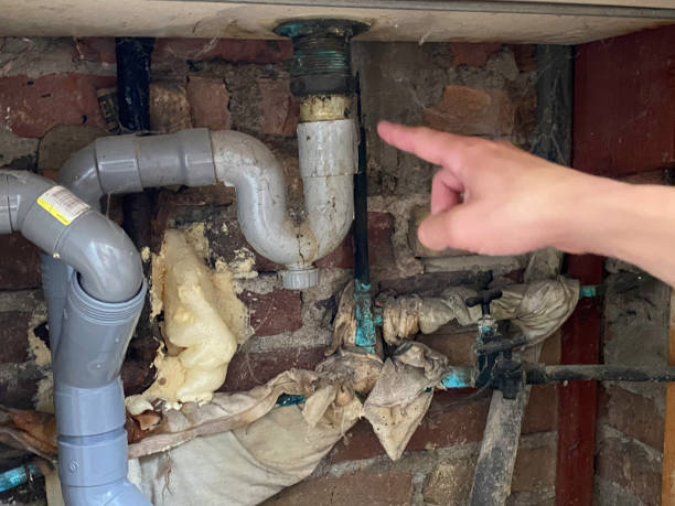 Best Sewage cleanup and water damage restoration  in Cayce, SC