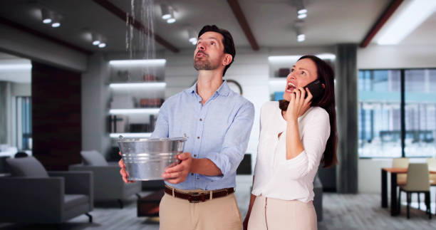 Best Basement water damage restoration  in Cayce, SC