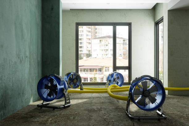 Best Fire Damage Restoration  in Cayce, SC
