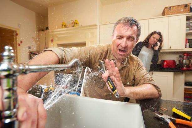 Best Mold removal after water damage  in Cayce, SC